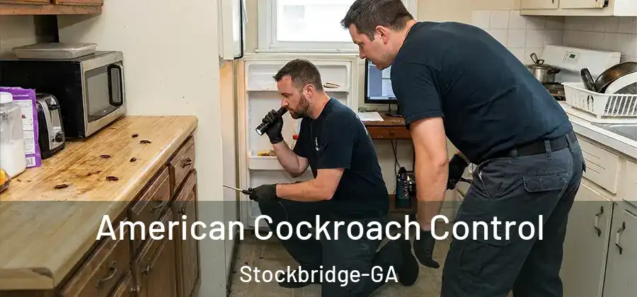 American Cockroach Control Stockbridge-GA