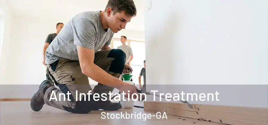  Ant Infestation Treatment Stockbridge-GA