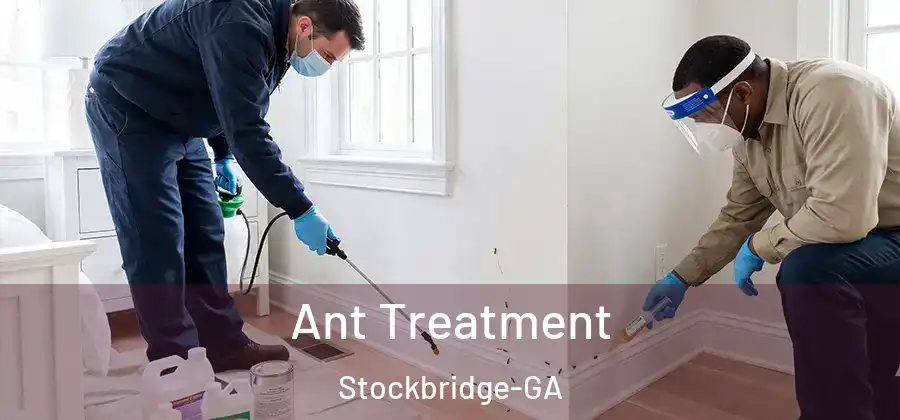  Ant Treatment Stockbridge-GA