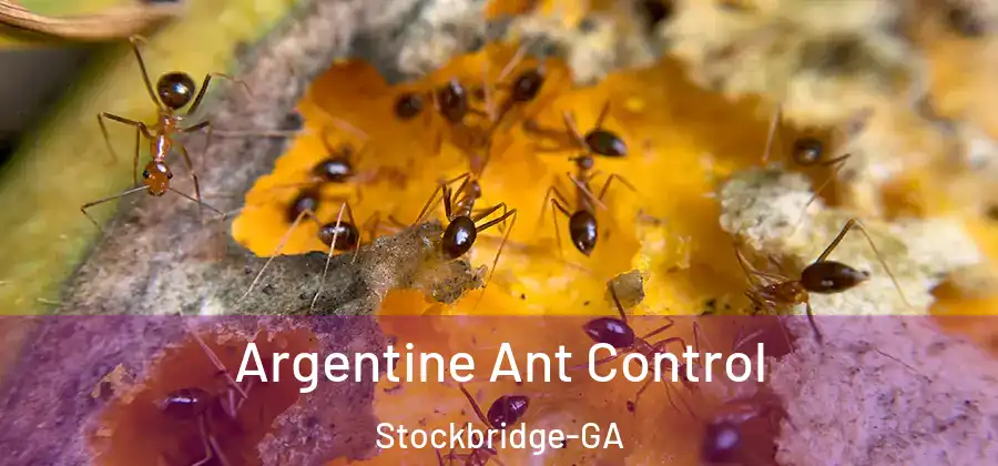  Argentine Ant Control Stockbridge-GA