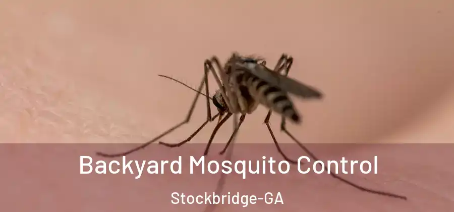 Backyard Mosquito Control Stockbridge-GA