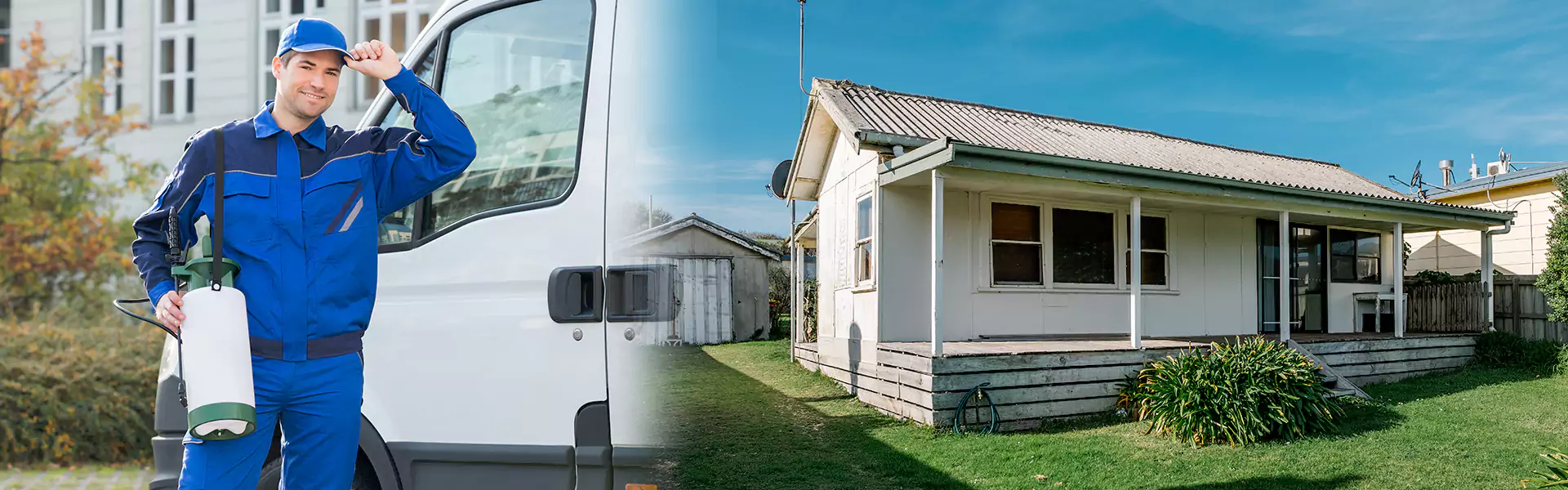 Heat Treatment for Termites