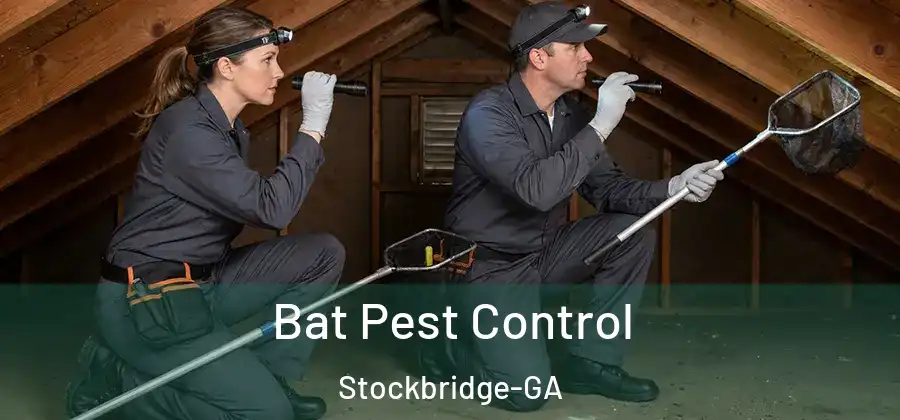 Bat Pest Control Stockbridge-GA