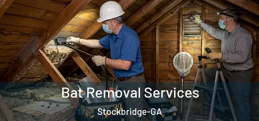 Bat Removal Services Stockbridge-GA