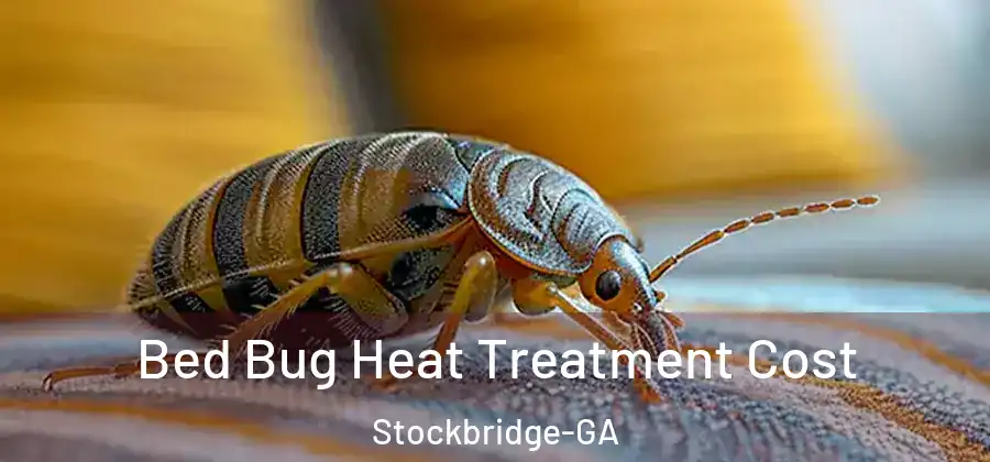  Bed Bug Heat Treatment Cost Stockbridge-GA
