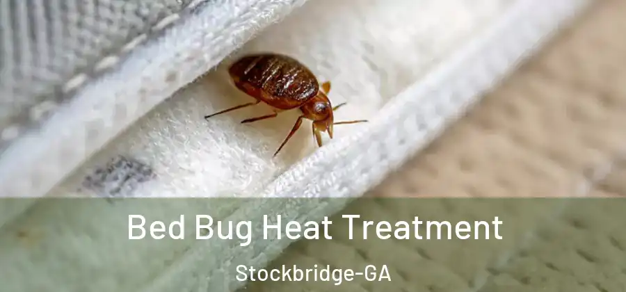 Bed Bug Heat Treatment Stockbridge-GA