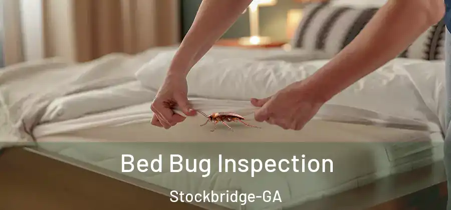  Bed Bug Inspection Stockbridge-GA