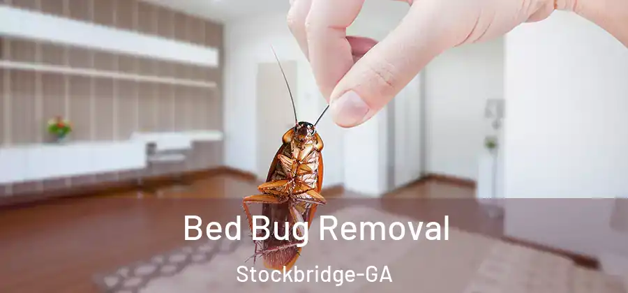 Bed Bug Removal Stockbridge-GA