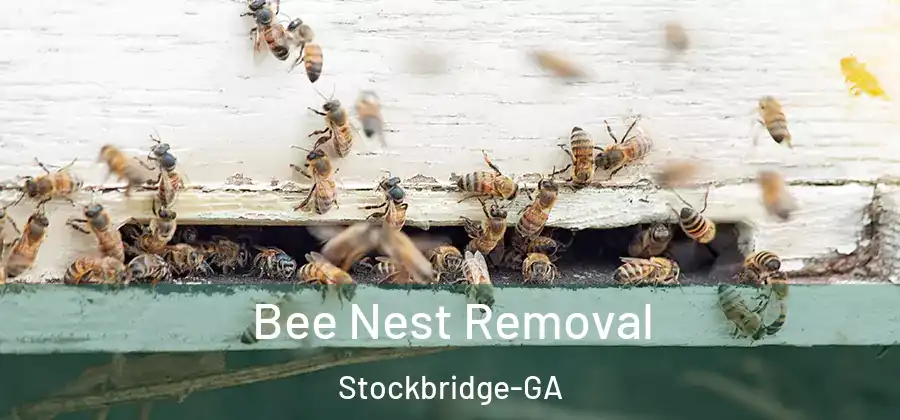 Bee Nest Removal Stockbridge-GA