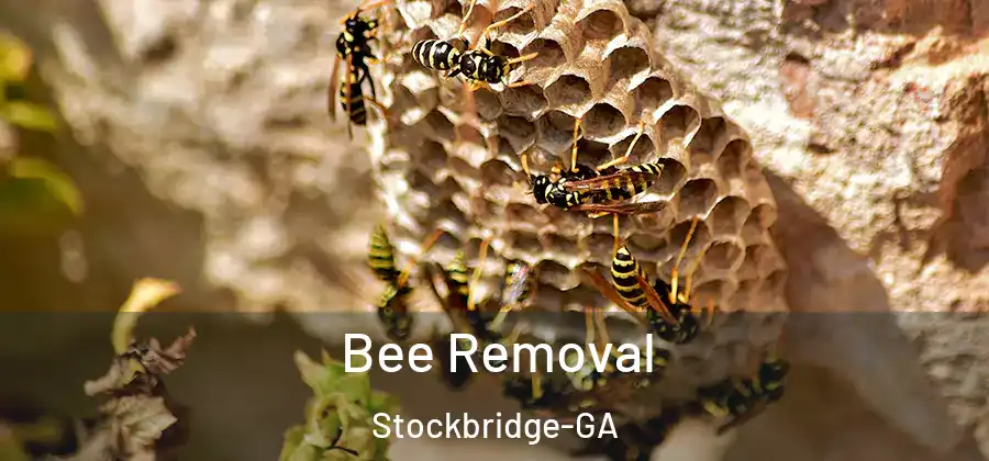  Bee Removal Stockbridge-GA