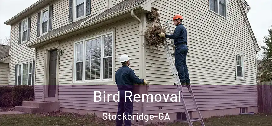 Bird Removal Stockbridge-GA