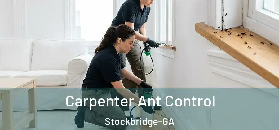  Carpenter Ant Control Stockbridge-GA