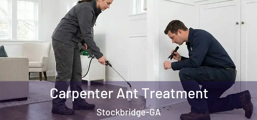 Carpenter Ant Treatment Stockbridge-GA