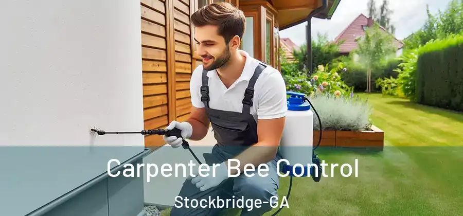  Carpenter Bee Control Stockbridge-GA