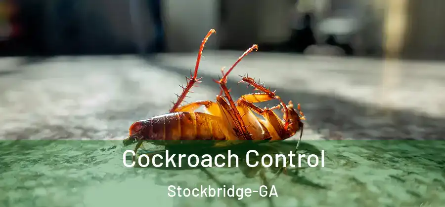 Cockroach Control Stockbridge-GA