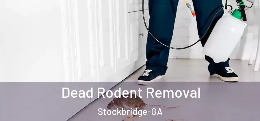 Dead Rodent Removal Stockbridge-GA