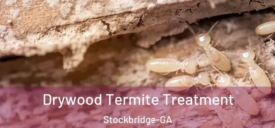  Drywood Termite Treatment Stockbridge-GA