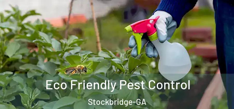 Eco Friendly Pest Control Stockbridge-GA