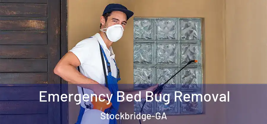 Emergency Bed Bug Removal Stockbridge-GA