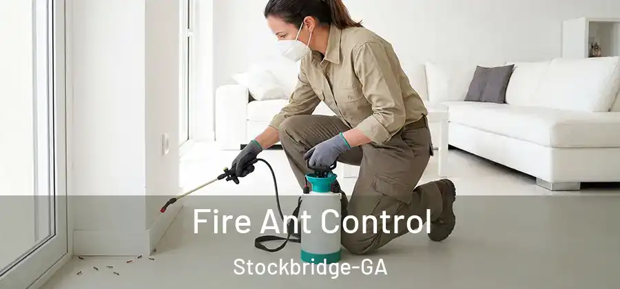  Fire Ant Control Stockbridge-GA