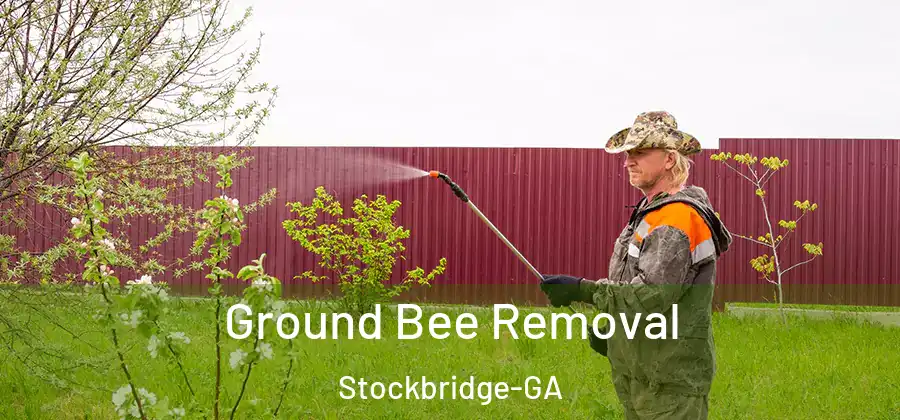 Ground Bee Removal Stockbridge-GA