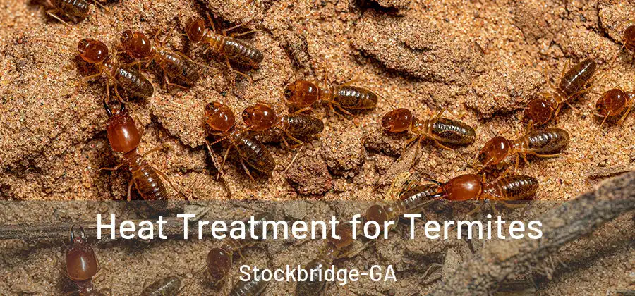  Heat Treatment for Termites Stockbridge-GA