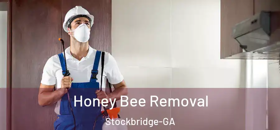  Honey Bee Removal Stockbridge-GA
