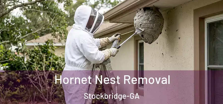  Hornet Nest Removal Stockbridge-GA