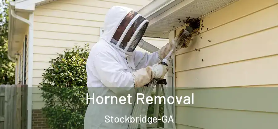  Hornet Removal Stockbridge-GA