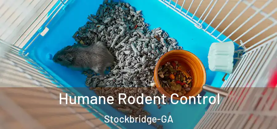 Humane Rodent Control Stockbridge-GA