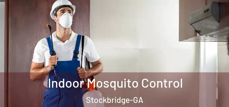 Indoor Mosquito Control Stockbridge-GA