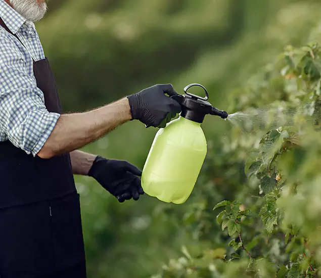 Your Proven Mosquito Treatment Company in Stockbridge, GA