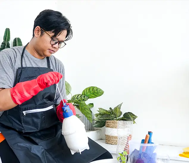 About Bed Bug Chemical Treatment Experts in Stockbridge, GA
