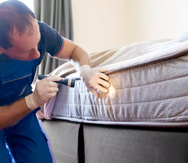 Trusted Bed Bug Cost Experts in Stockbridge, GA
