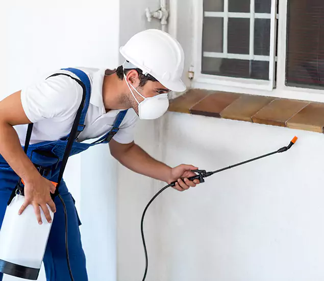 Your Professional Cockroach Exterminator in Stockbridge, GA