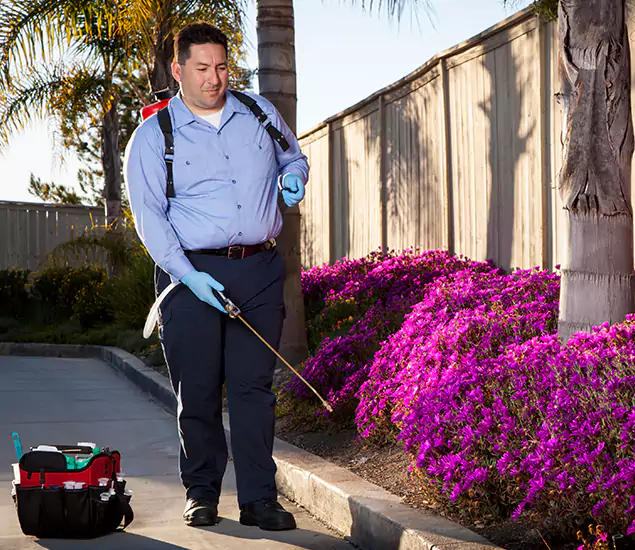 About Our Eco Safe Pest Control Experts in Stockbridge, GA