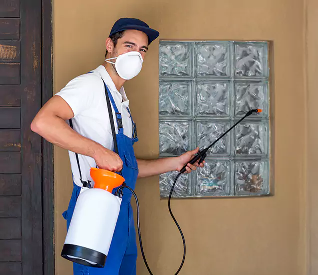 About Heat Treatment for Termites Experts in Stockbridge, GA