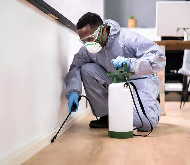 Leading Industrial Pest Control Experts Serving Stockbridge, GA