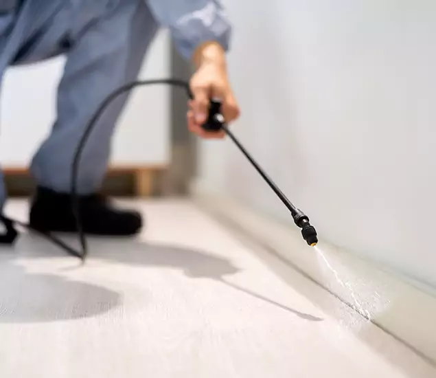 About Our Liquid Termite Treatment Experts in Stockbridge, GA