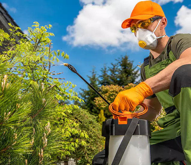Reliable Mosquito Pest Control Services: Your Proven Mosquito Specialist in Stockbridge, GA