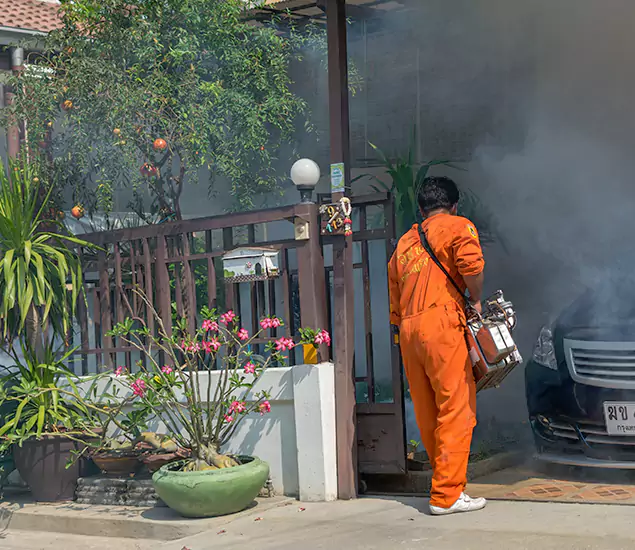 Your Proven Mosquito Fogging Company in Stockbridge, GA