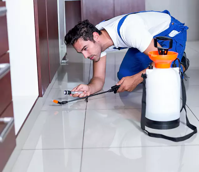 Reliable Professional Mouse Removal: Your Best Mouse Control Company in Stockbridge, GA