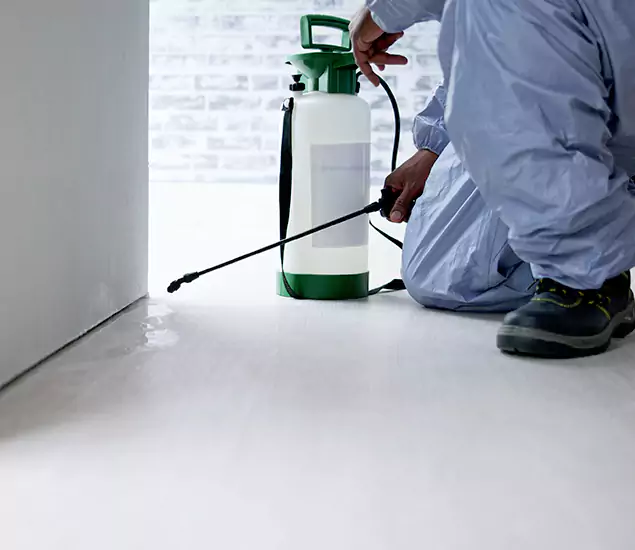 Affordable Pest Control Experts in Stockbridge, GA