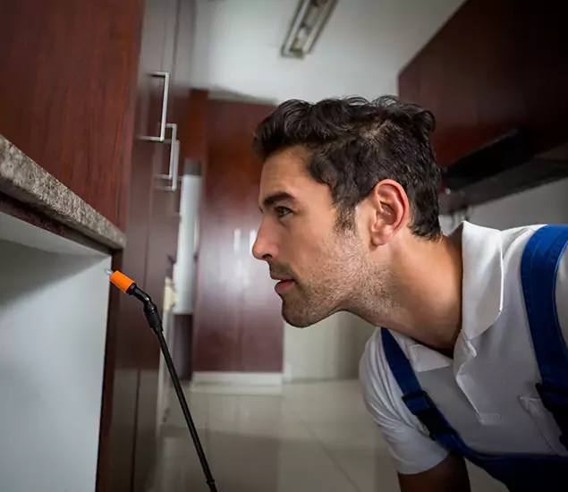 Expert Rodent in Attic Removal: Your Proven Pest Specialists in Stockbridge, GA