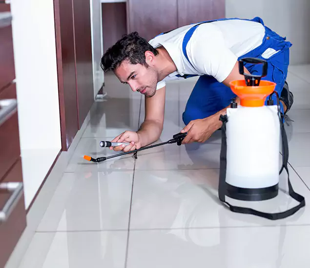 Advanced Slab Termite Treatment Experts You Can Trust&nbsp;in Stockbridge, GA