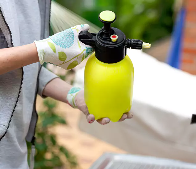Skilled Residential Small Black Ant Service in Stockbridge, GA