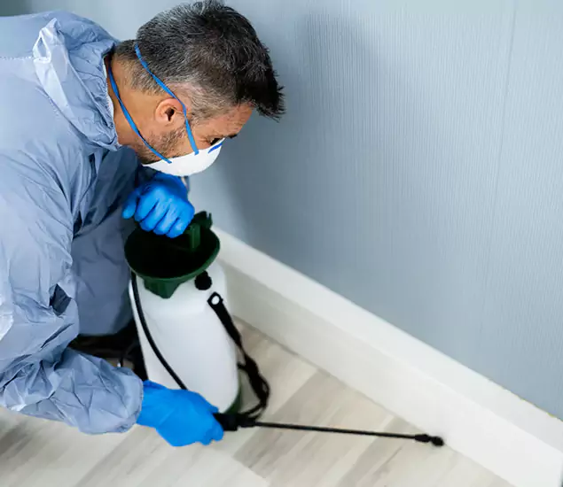 Reliable Termite Cost Experts in Stockbridge, GA