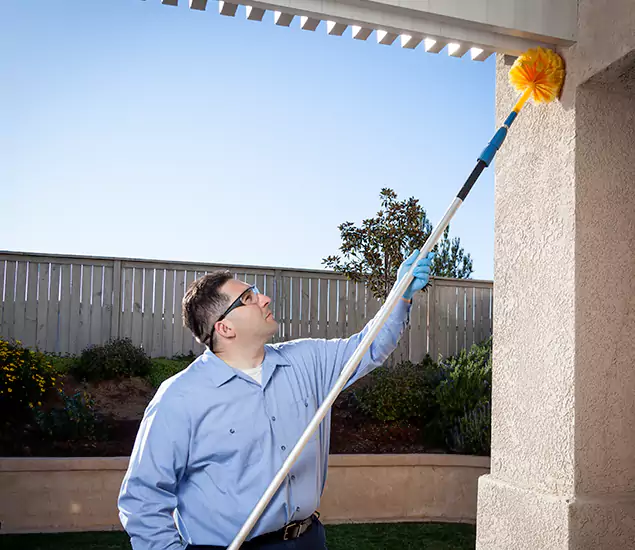 Your Trusted Wasp Removal Company in Stockbridge, GA