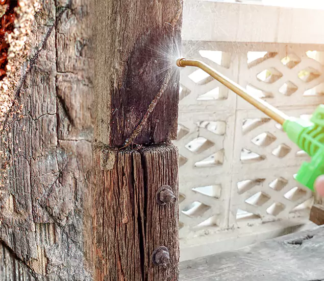About Wood Termite Treatment Services in Stockbridge, GA