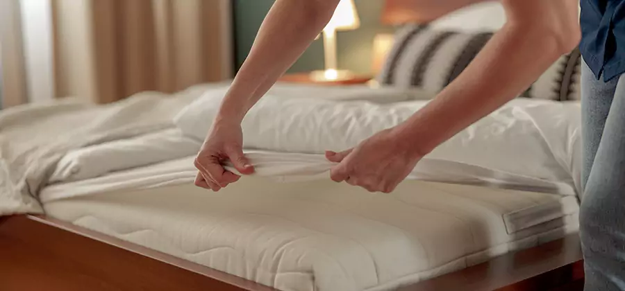 Bed Bug Extermination Services in Stockbridge
